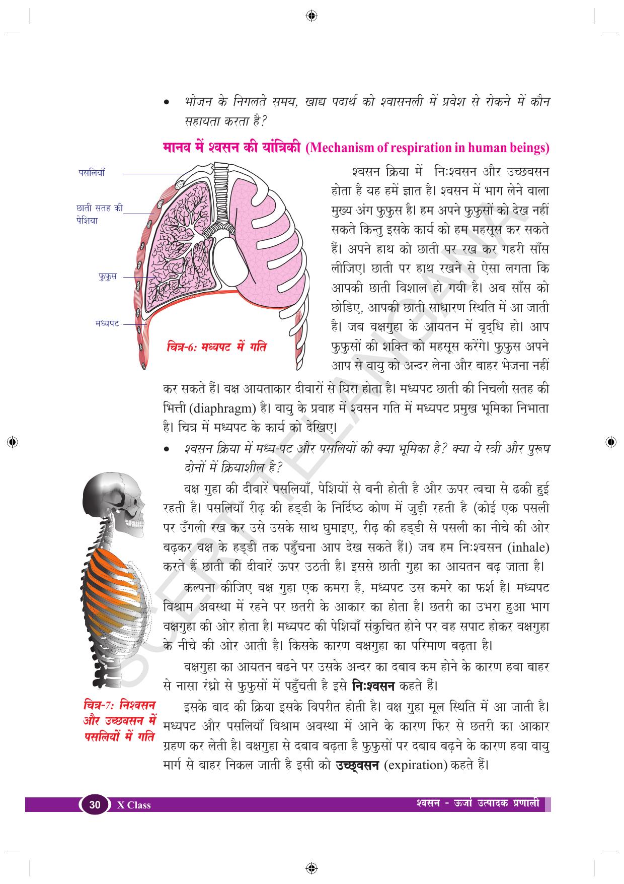 TS SCERT Class 10 Biological Science (Hindi Medium) Text Book - Page 42