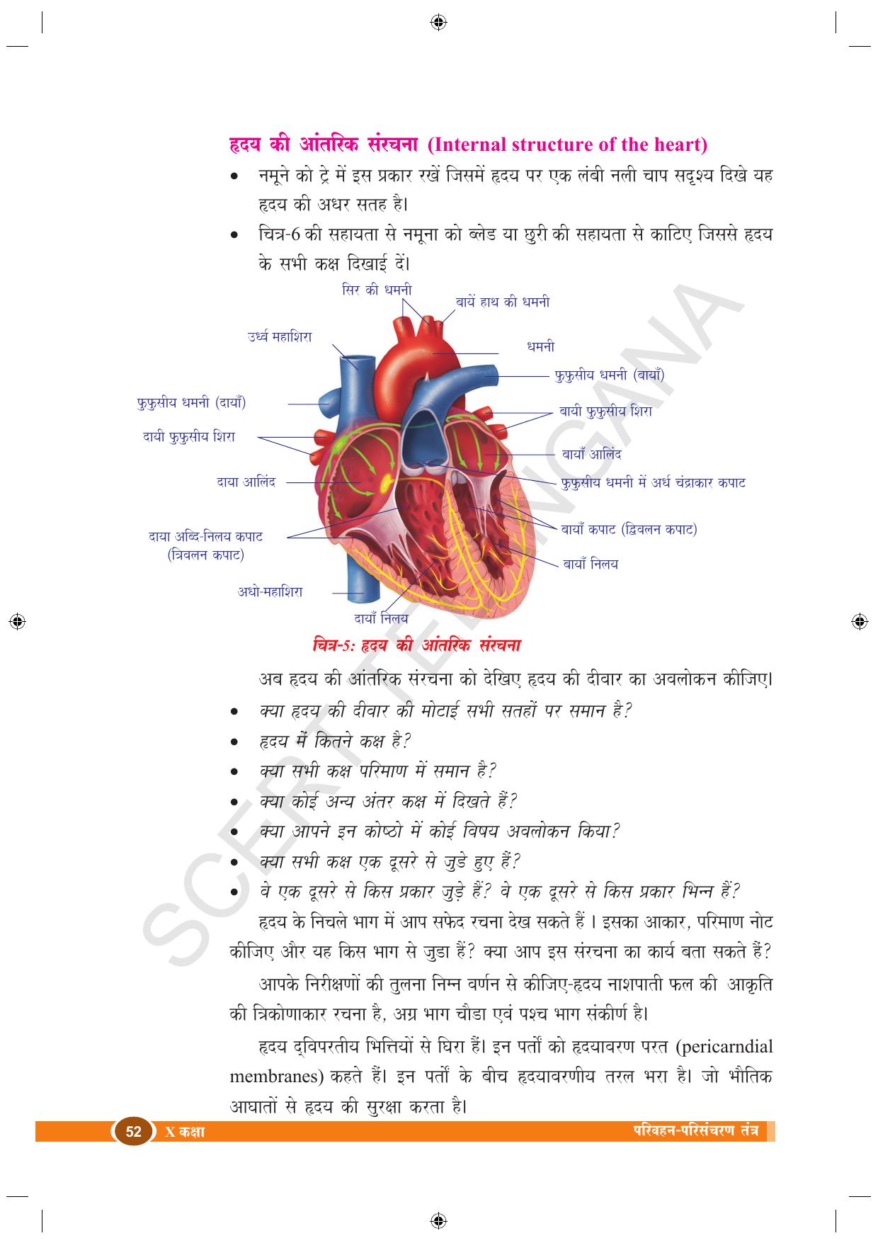 TS SCERT Class 10 Biological Science (Hindi Medium) Text Book - Page 64