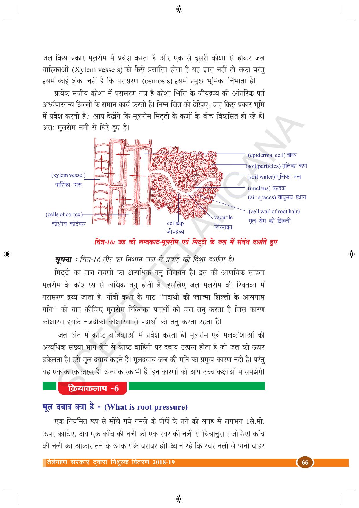 TS SCERT Class 10 Biological Science (Hindi Medium) Text Book - Page 77