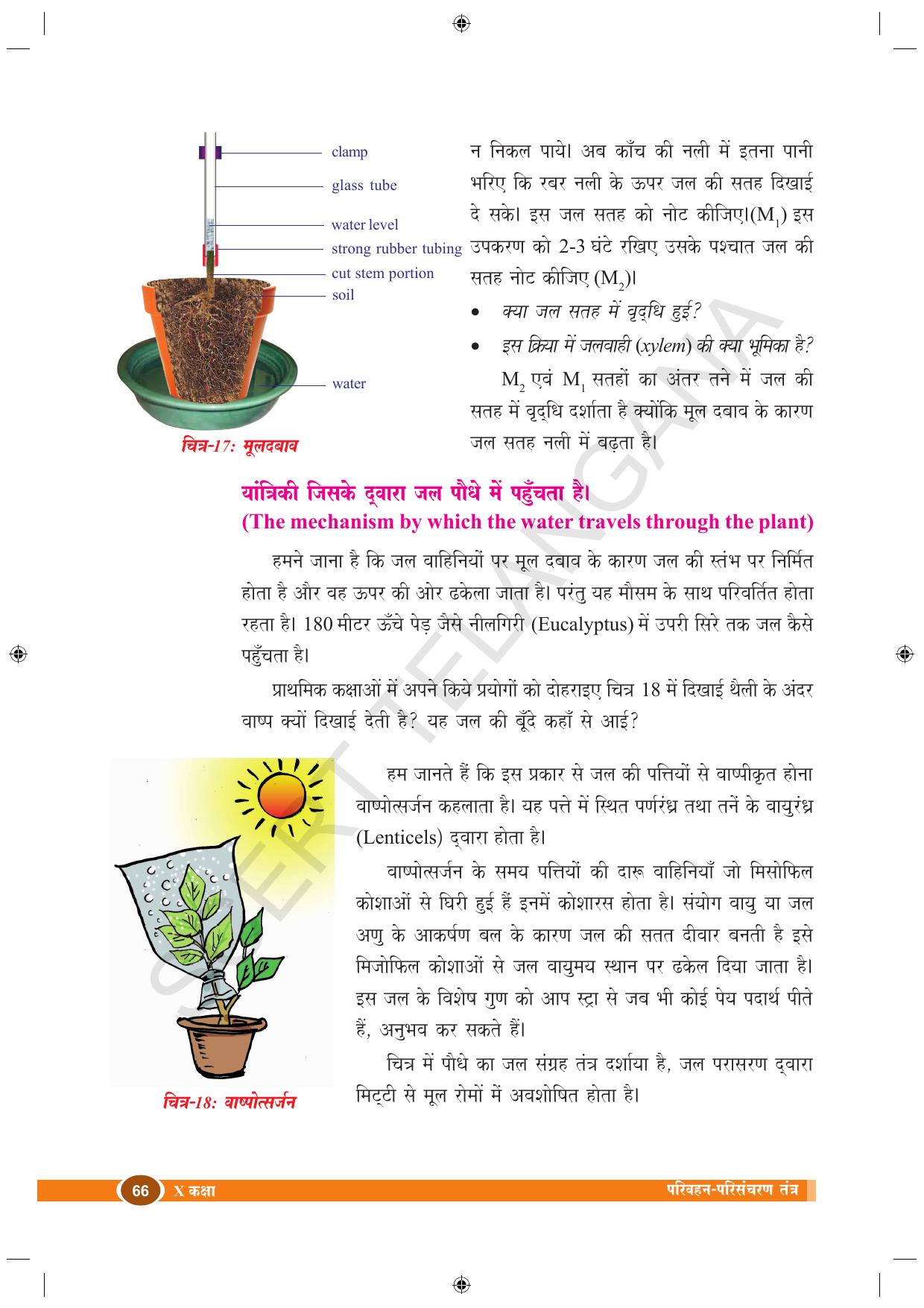 TS SCERT Class 10 Biological Science (Hindi Medium) Text Book - Page 78