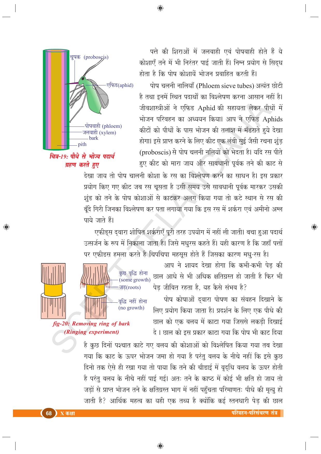 TS SCERT Class 10 Biological Science (Hindi Medium) Text Book - Page 80