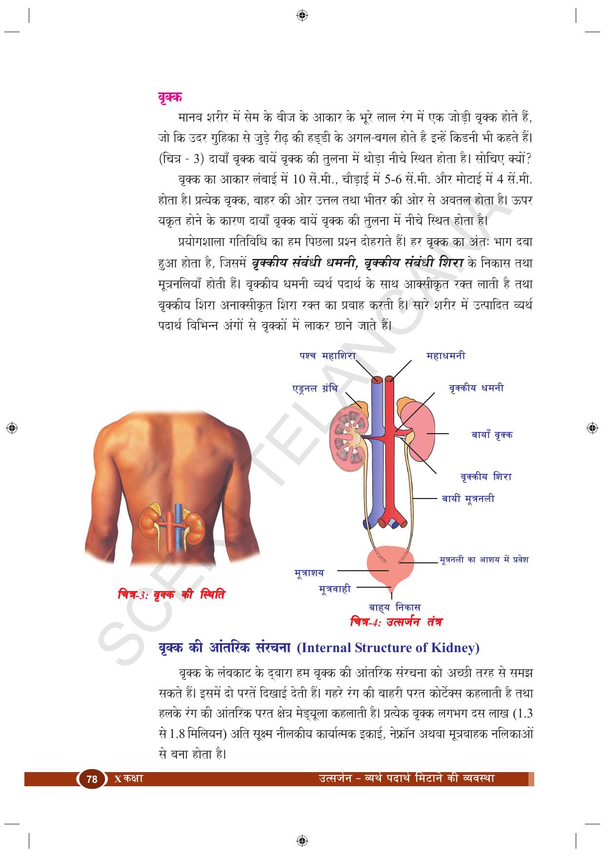 TS SCERT Class 10 Biological Science (Hindi Medium) Text Book - Page 90