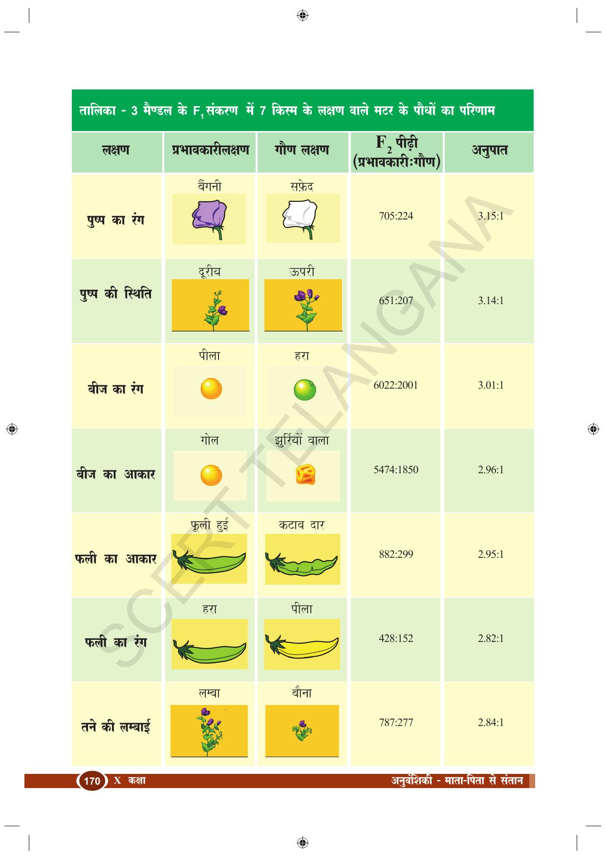 TS SCERT Class 10 Biological Science (Hindi Medium) Text Book - Page 124