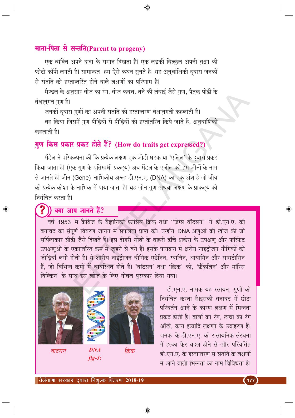 TS SCERT Class 10 Biological Science (Hindi Medium) Text Book - Page 131