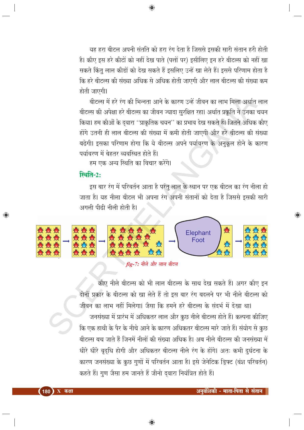 TS SCERT Class 10 Biological Science (Hindi Medium) Text Book - Page 134