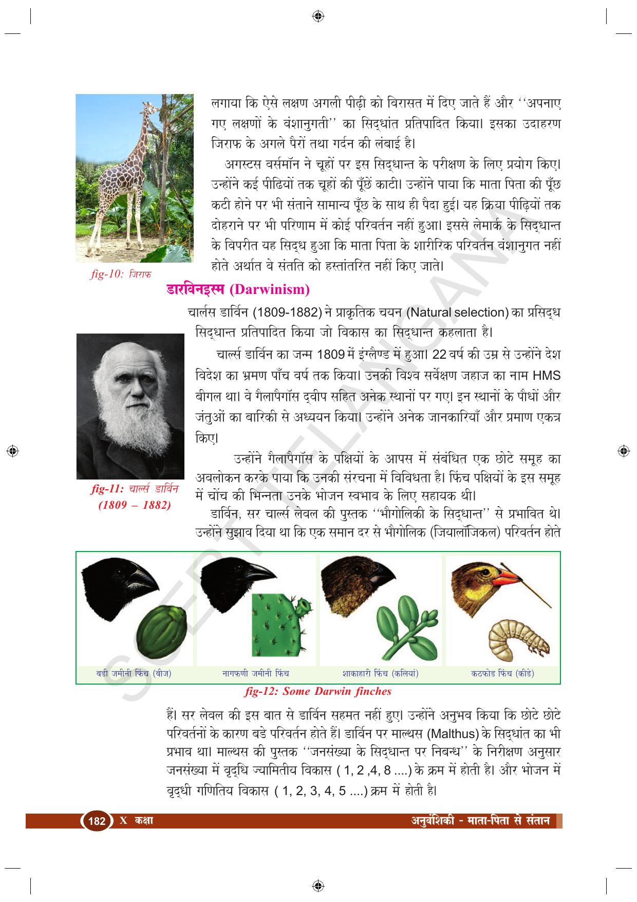 TS SCERT Class 10 Biological Science (Hindi Medium) Text Book - Page 136