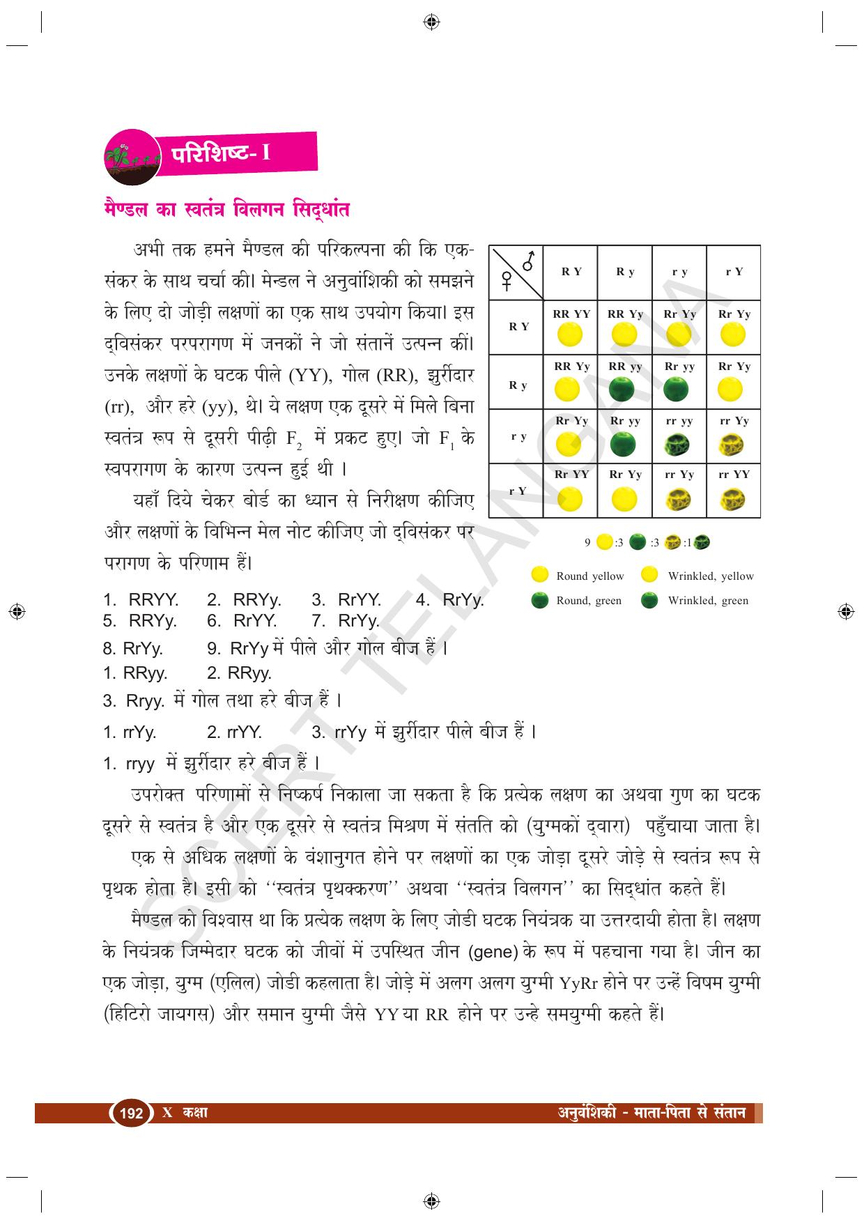 TS SCERT Class 10 Biological Science (Hindi Medium) Text Book - Page 146