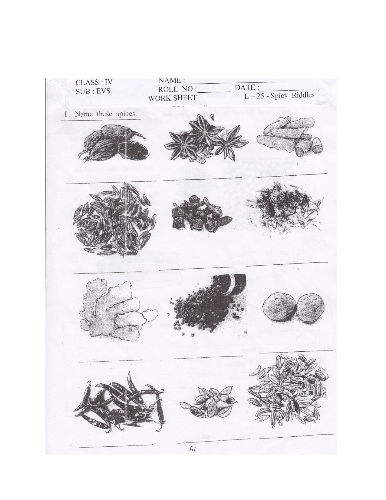 Worksheet for Class 4 Environmental Studies Spicy Riddles Assignment I - Page 1