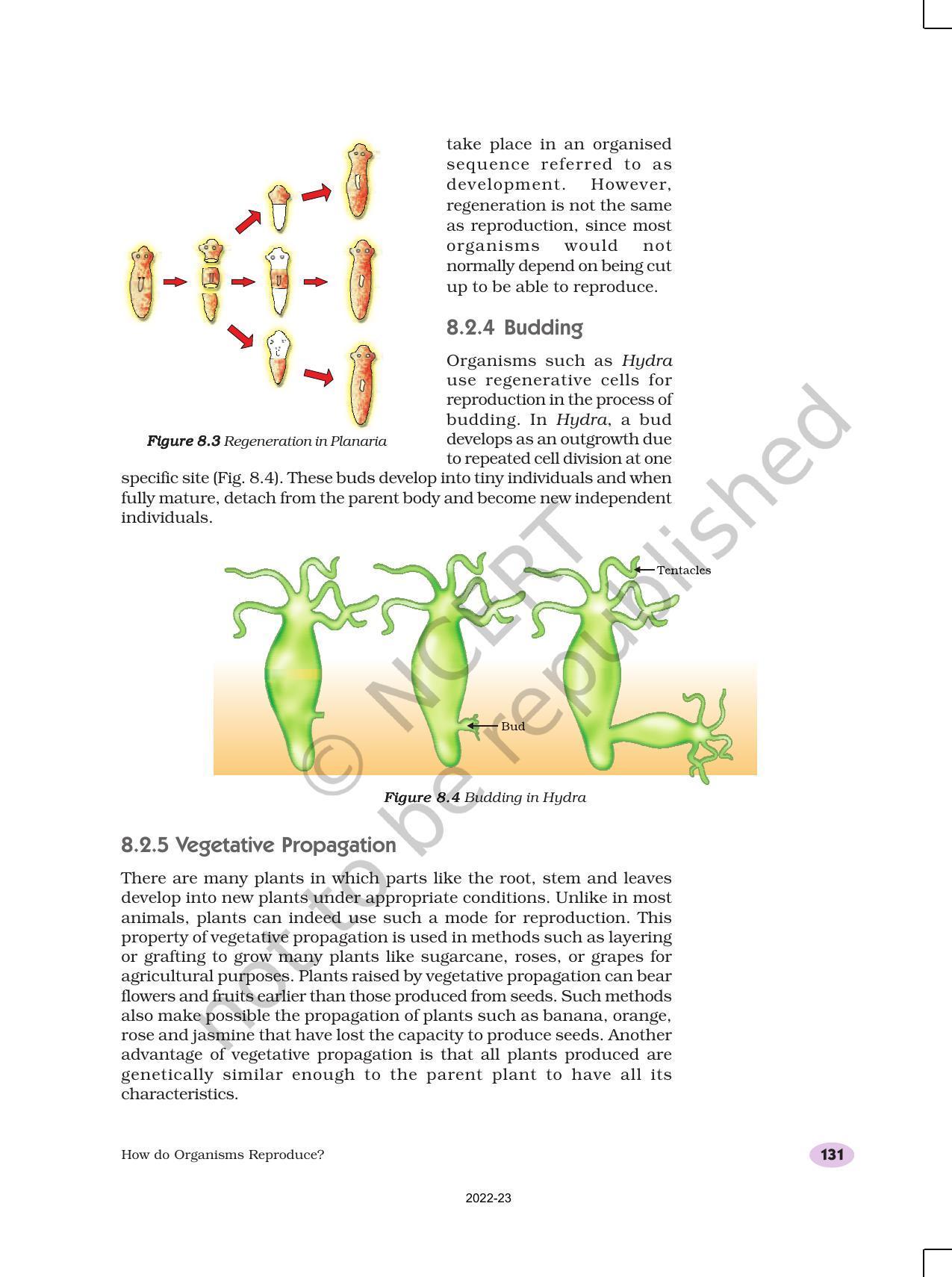 NCERT Book for Class 10 Science Chapter 8 How do Organisms Reproduce? - Page 5