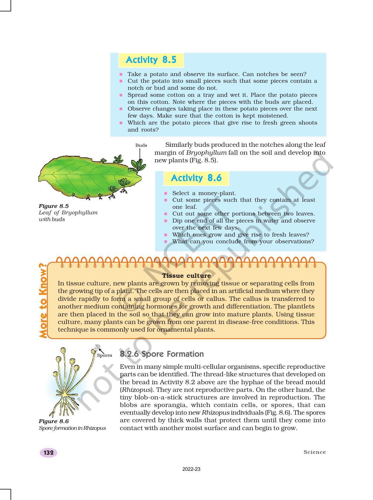 NCERT Book for Class 10 Science Chapter 8 How do Organisms Reproduce? - Page 6