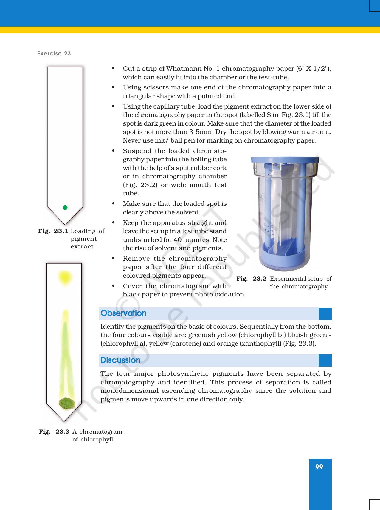 NCERT Laboratory Manuals for Class XI Biology - Exercise 21 to 24 - Page 5