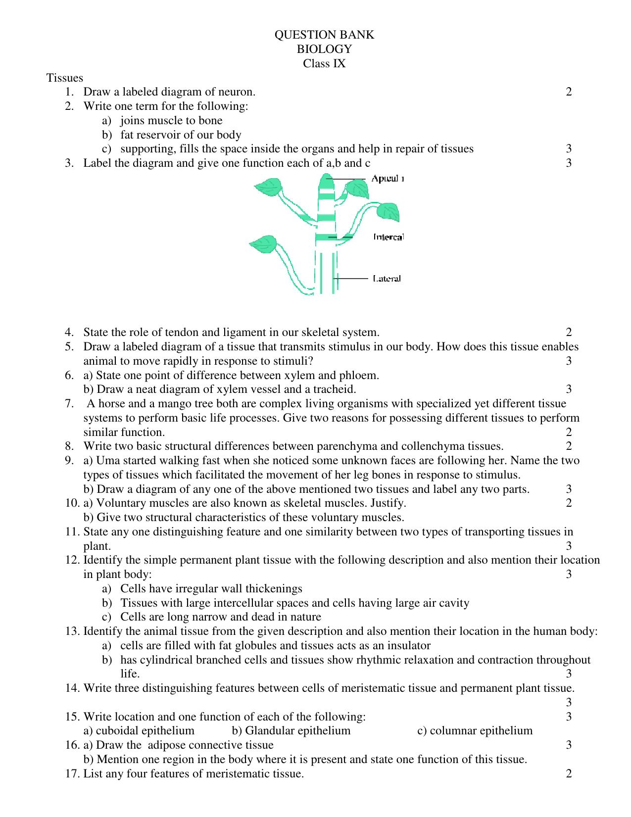 CBSE Worksheets for Class 9 Biology Question Bank Assignment - Page 1
