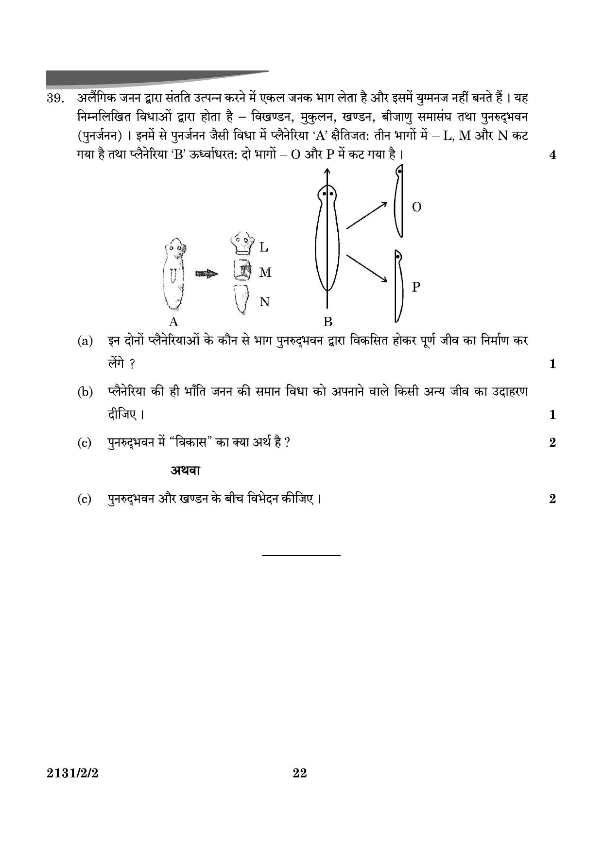 CBSE Class 10 31-2-2 Science 2024 Question Paper - Page 22