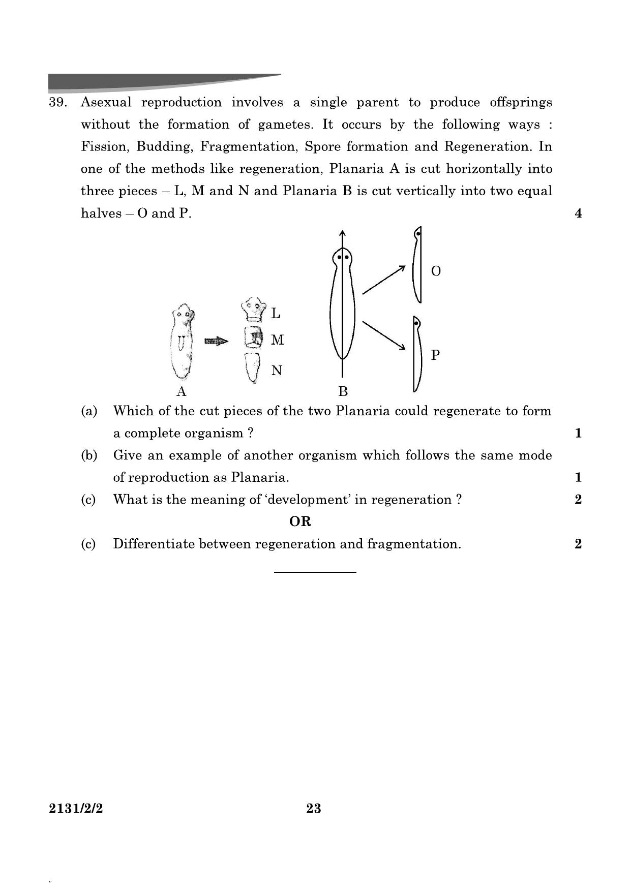 CBSE Class 10 31-2-2 Science 2024 Question Paper - Page 23