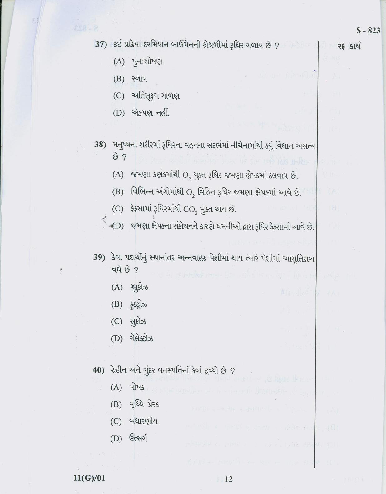 Gujarat Board Class 10th 11 GUJARATI 2019 Question Paper - Page 12