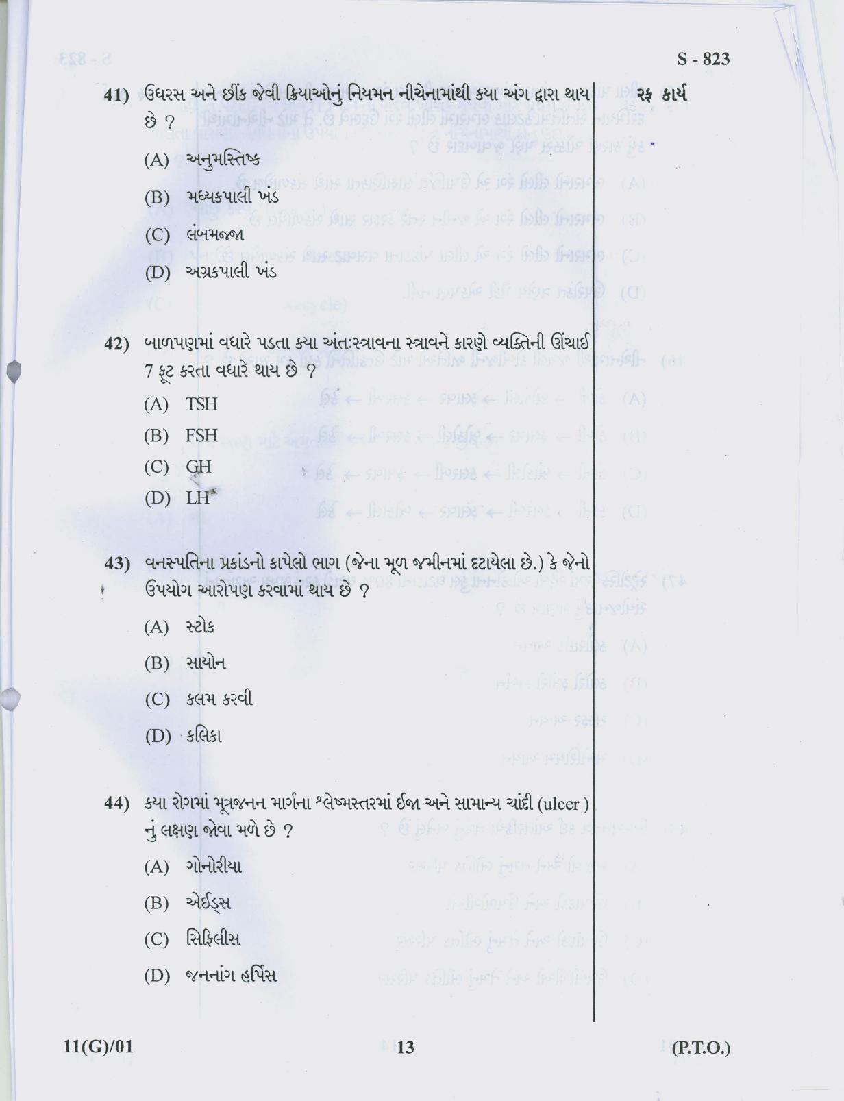 Gujarat Board Class 10th 11 GUJARATI 2019 Question Paper - Page 13
