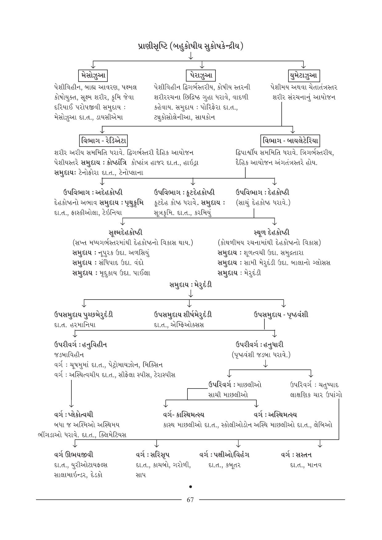 GSEB HSC Biology Question Paper (Gujarati Medium)- Chapter 4 - Page 20
