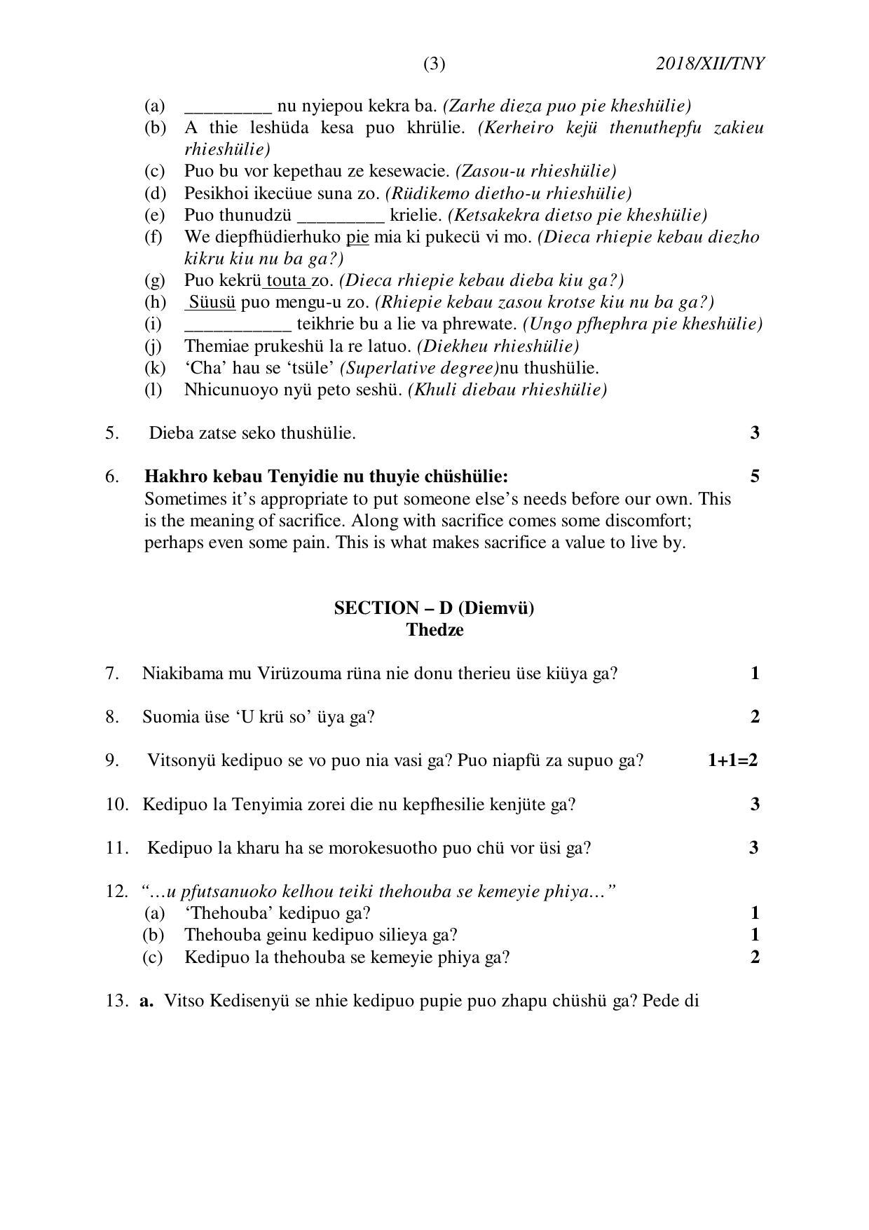 Nagaland Board Class 12 TENYIDIE 2018 Question Papers - Page 3