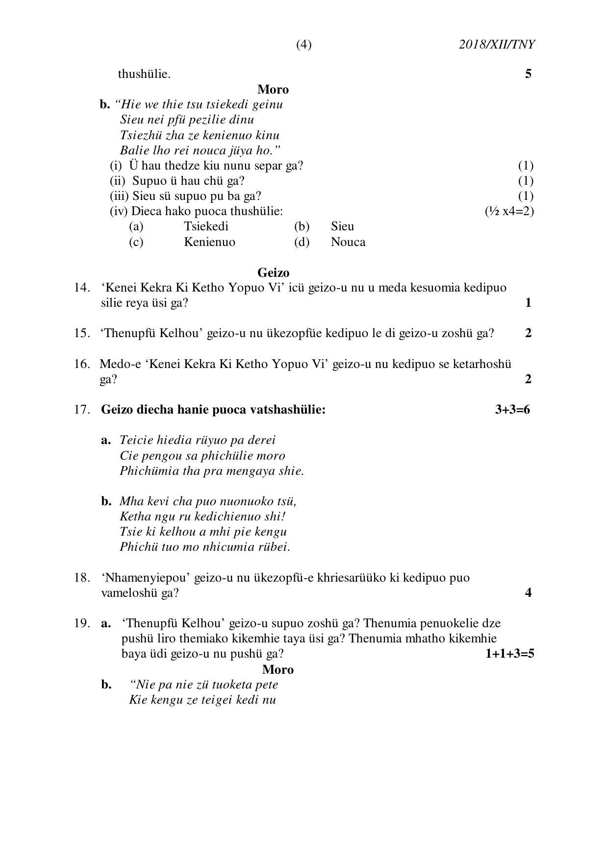 Nagaland Board Class 12 TENYIDIE 2018 Question Papers - Page 4