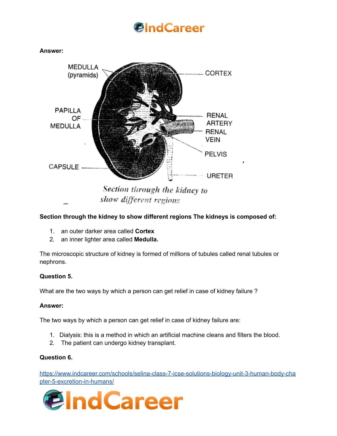 Selina Class 7 ICSE Solutions Biology (Unit 3) - Human Body: Chapter 5- Excretion in Humans - Page 6