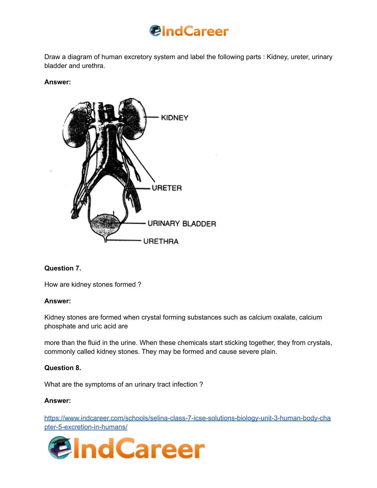 Selina Class 7 ICSE Solutions Biology (Unit 3) - Human Body: Chapter 5- Excretion in Humans - Page 7
