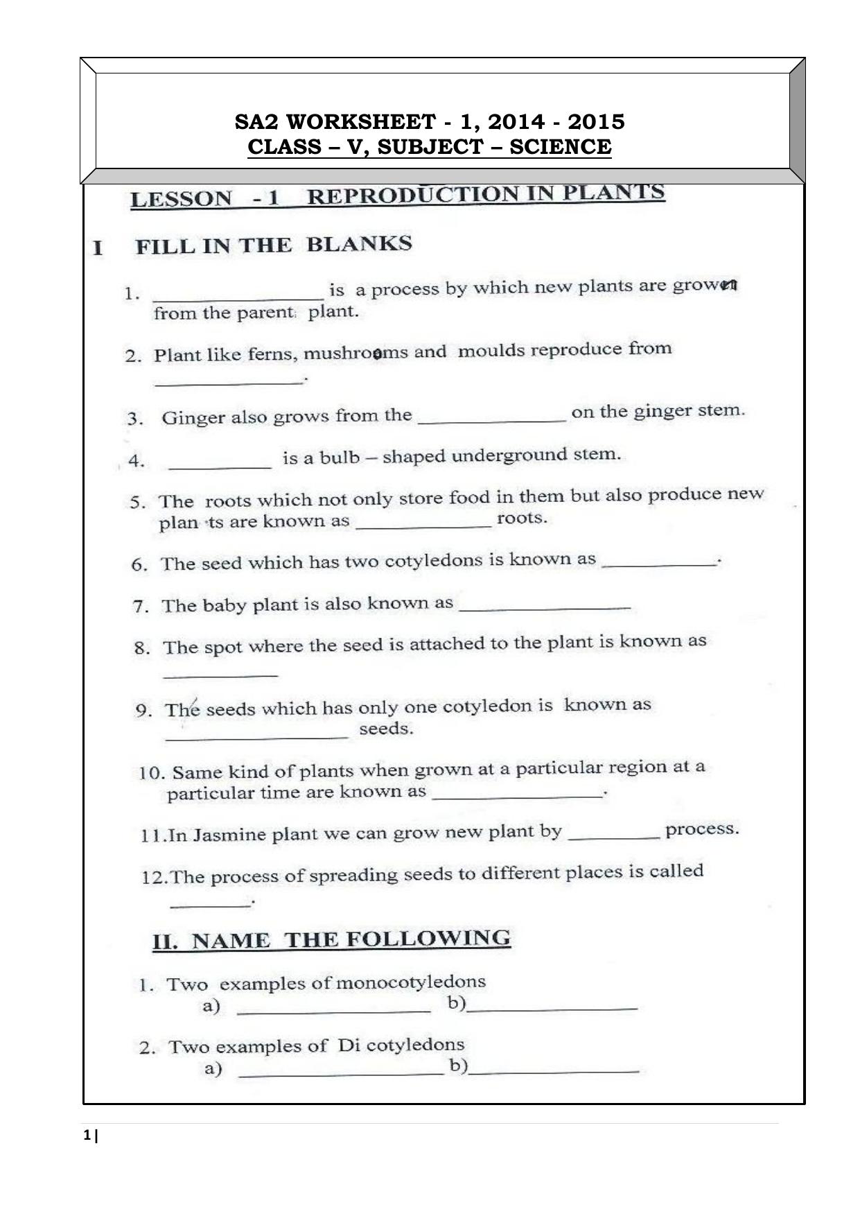 Worksheet for Class 5 Science Reproduction in Plants Assignment 3 - Page 1