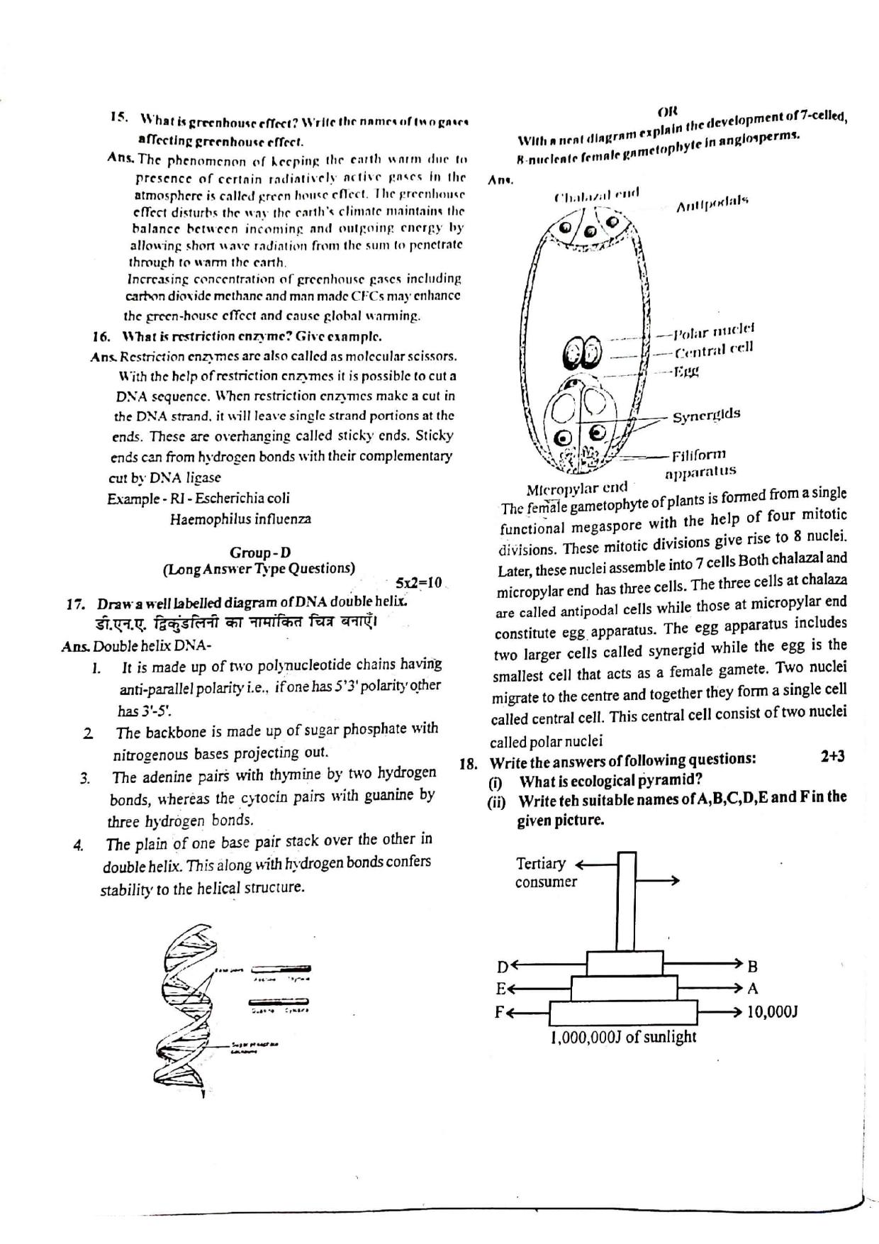 JAC Class 12 2020 Biology Question Paper - Page 2