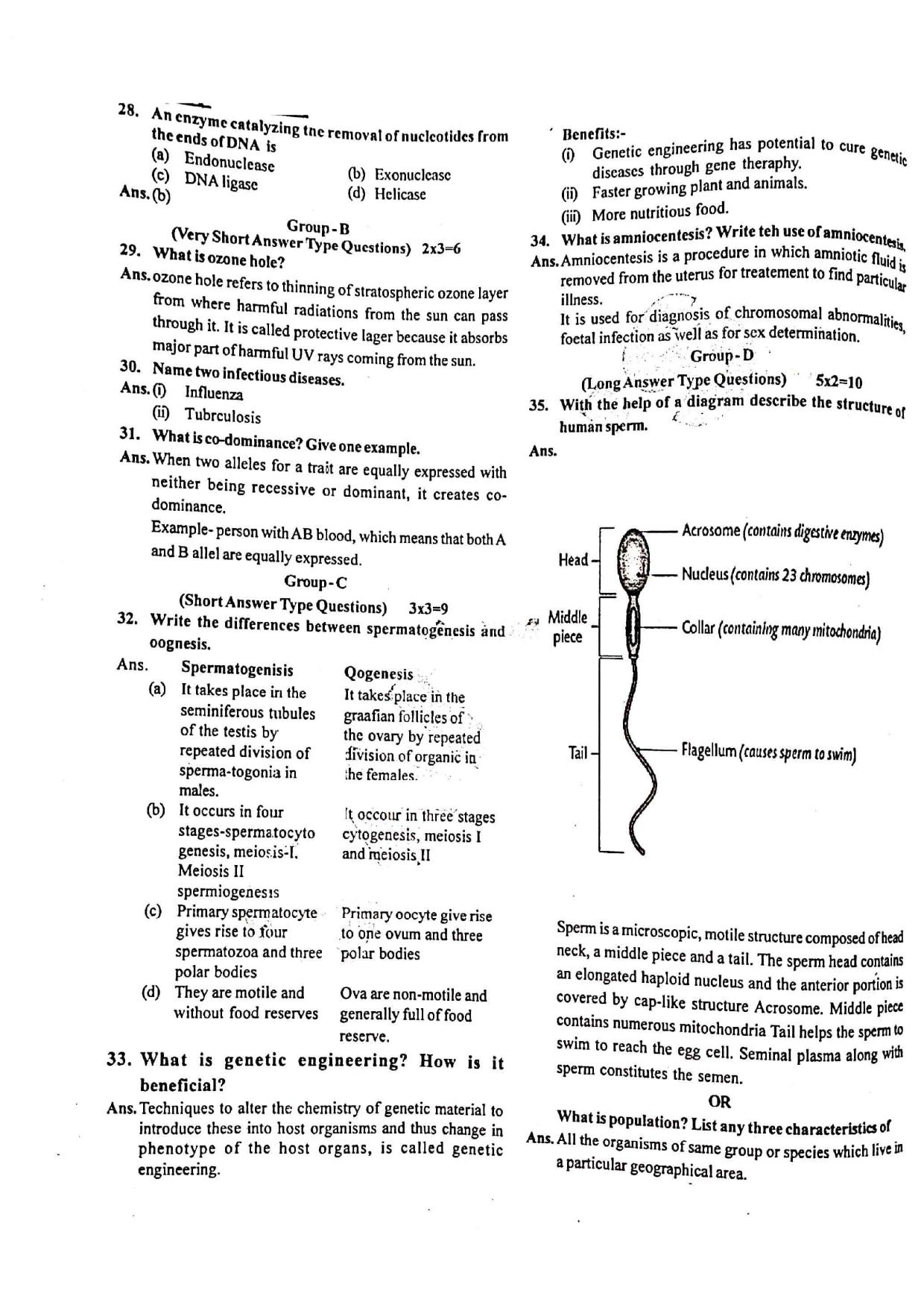JAC Class 12 2020 Biology Question Paper - Page 4