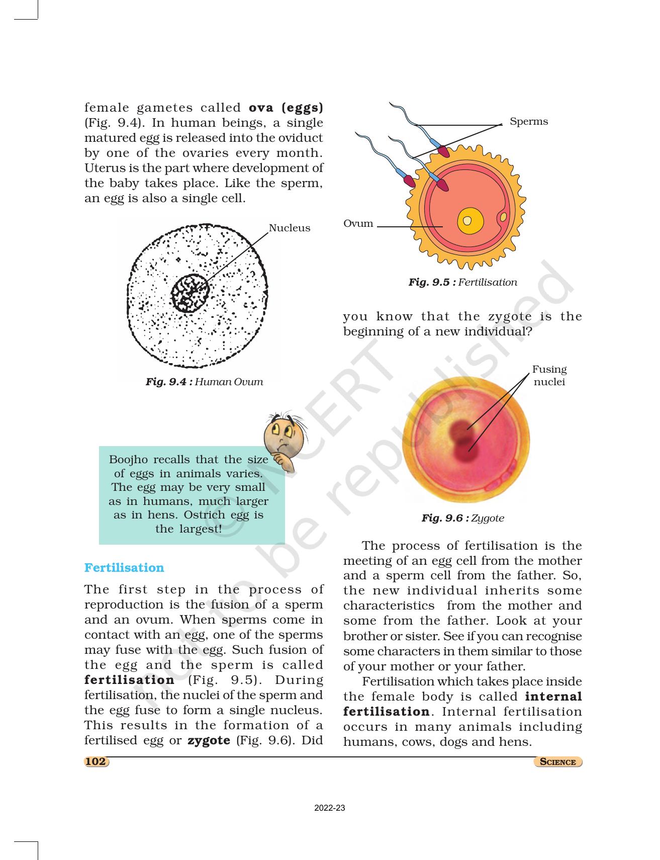 NCERT Book for Class 8 Science Chapter 9 Reproduction in Animals - Page 3