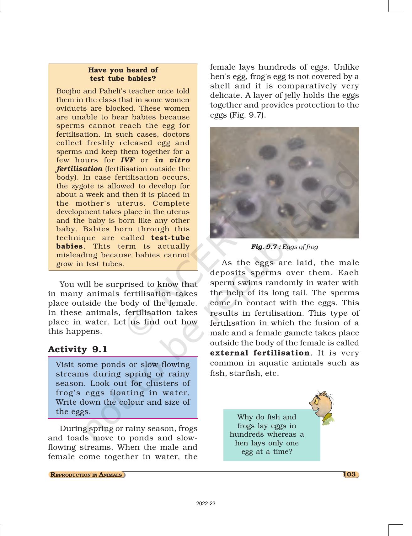 NCERT Book for Class 8 Science Chapter 9 Reproduction in Animals - Page 4