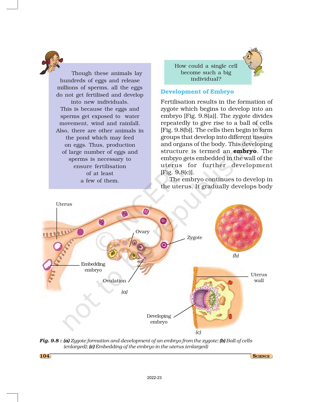 NCERT Book for Class 8 Science Chapter 9 Reproduction in Animals - Page 5
