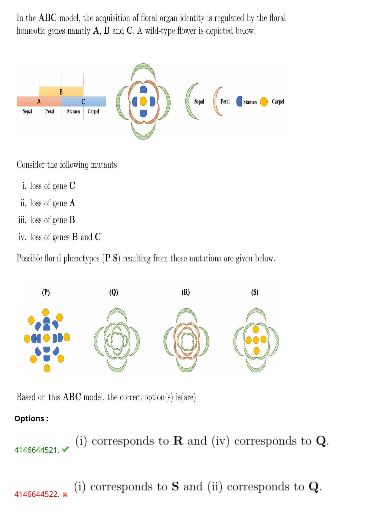 NEST 2023 Shift 1 Question Paper with Answer Keys - Page 17