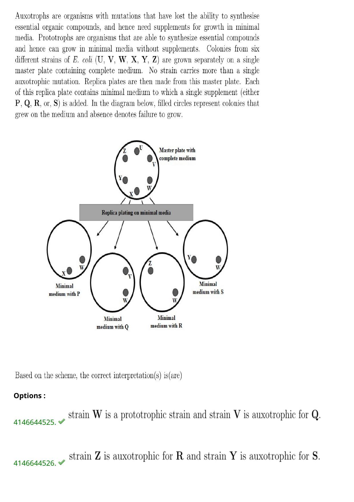 NEST 2023 Shift 1 Question Paper with Answer Keys - Page 19