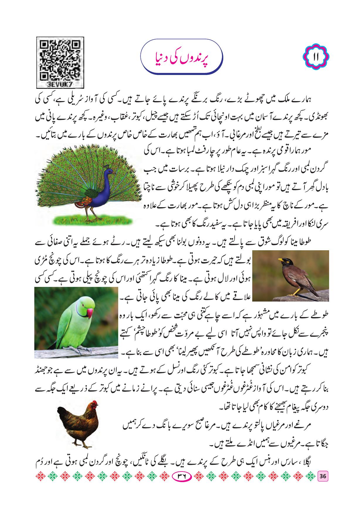 Maharashtra Board Class 4 Urdu Balbharati (Urdu Medium) Textbook - Page 46