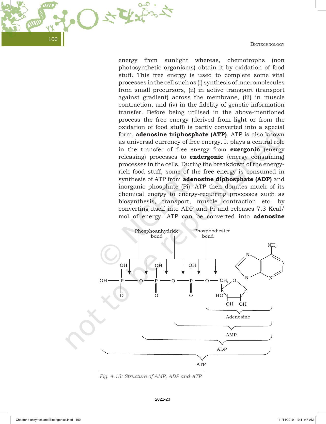 NCERT Book for Class 11 Biotechnology Chapter 4 Enzymes and Bioenergetics - Page 16