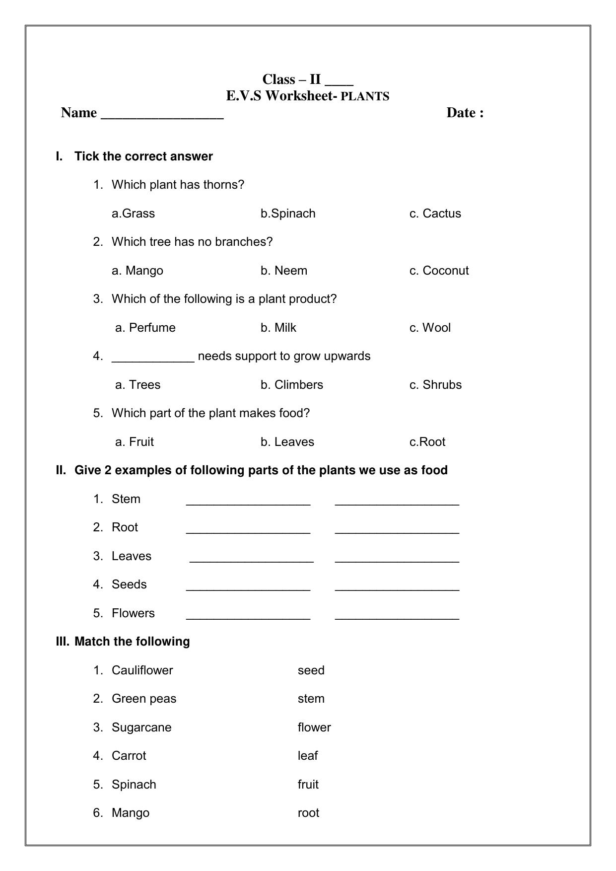 Worksheets for Class 2 EVS Assignment 8 Plants - Page 1