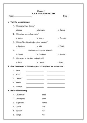 Worksheets for Class 2 EVS Assignment 8 Plants