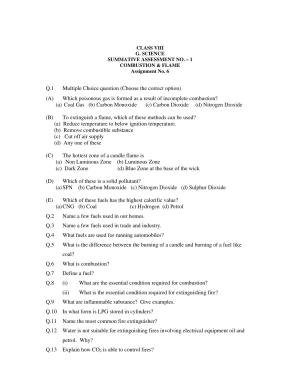 CBSE Worksheets for Class 8 Science Assignment 9