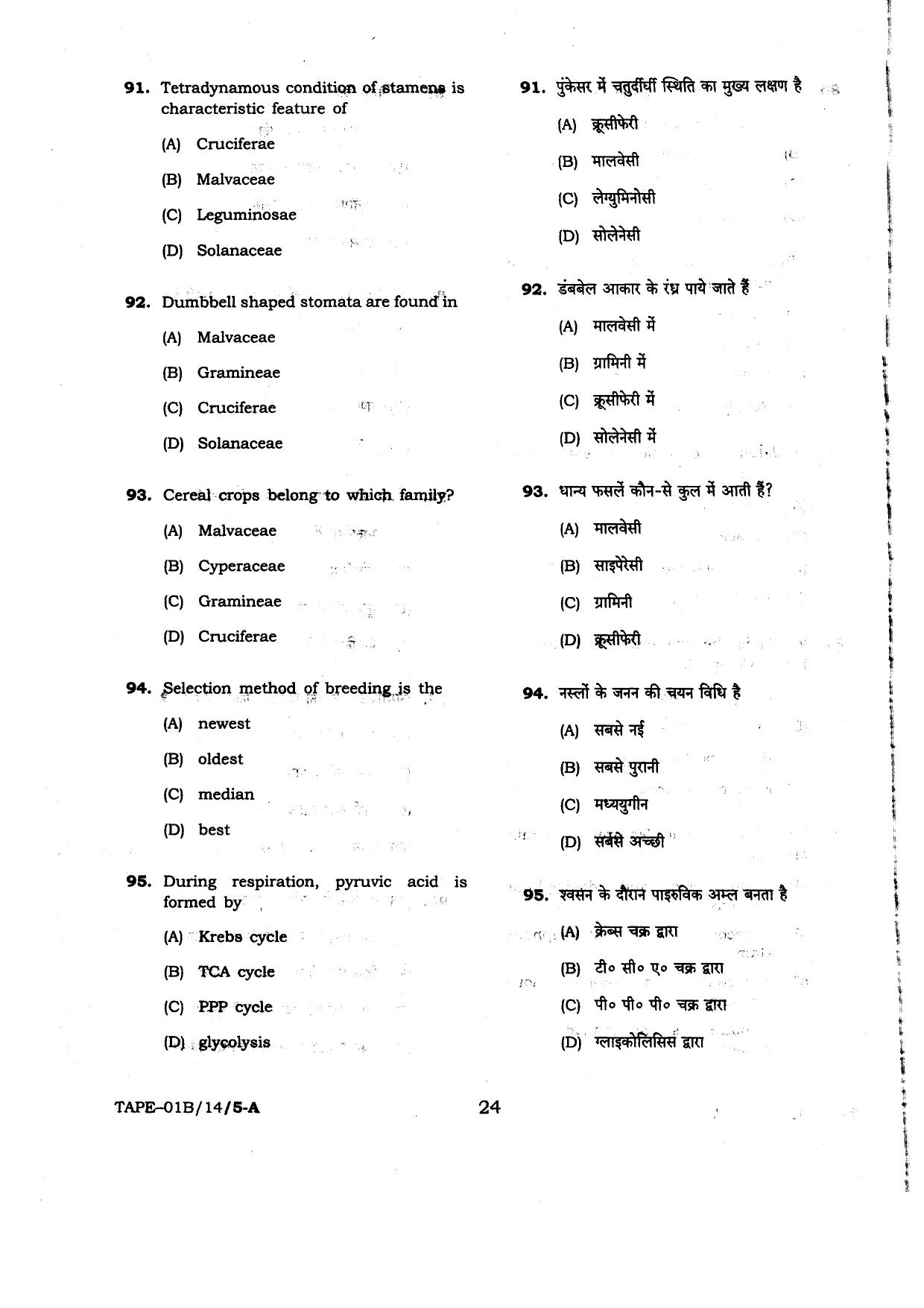 MP PAT 2014 Question Paper - Page 24