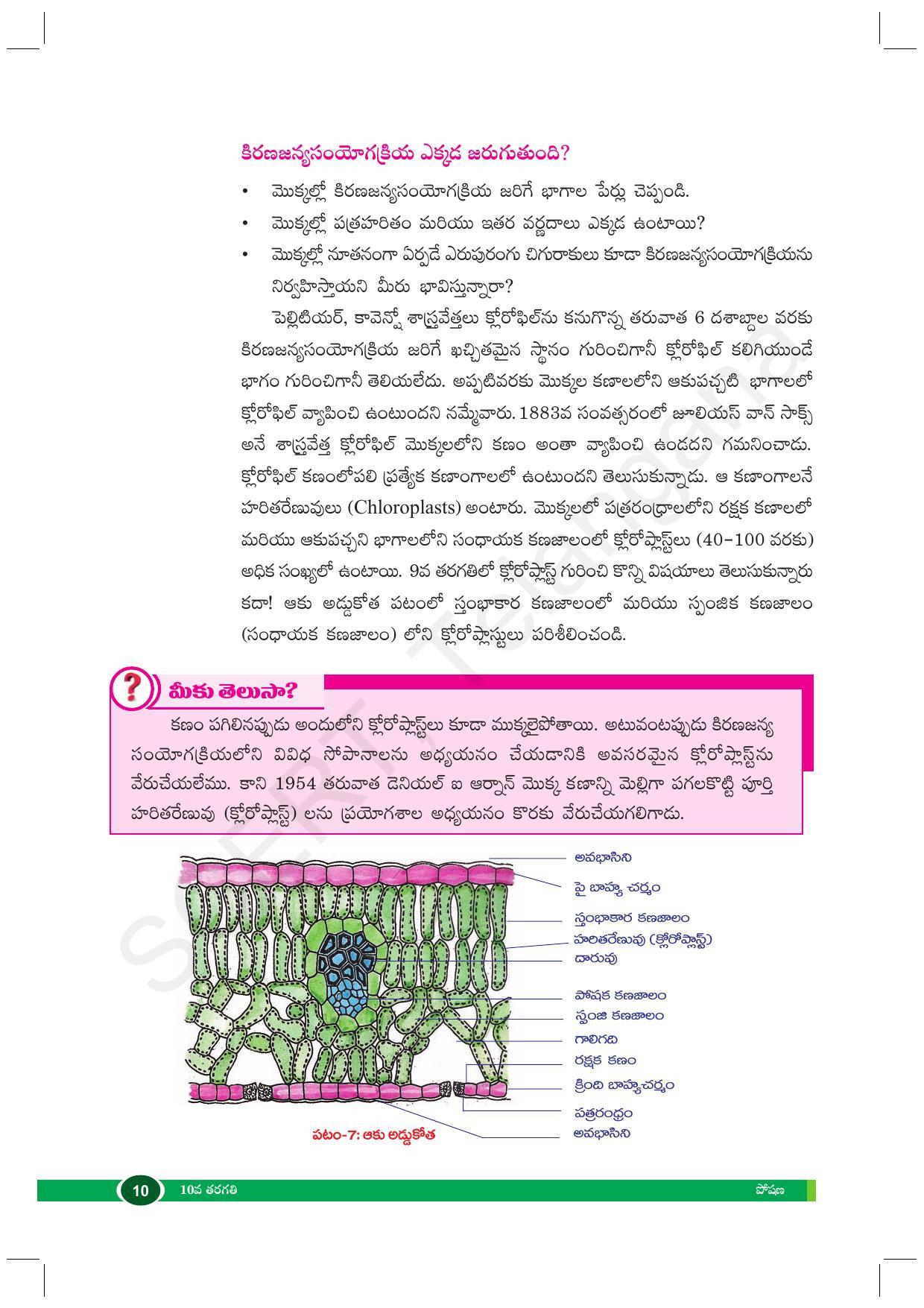 TS SCERT Class 10 Biological Science (Telugu Medium) Text Book - Page 22