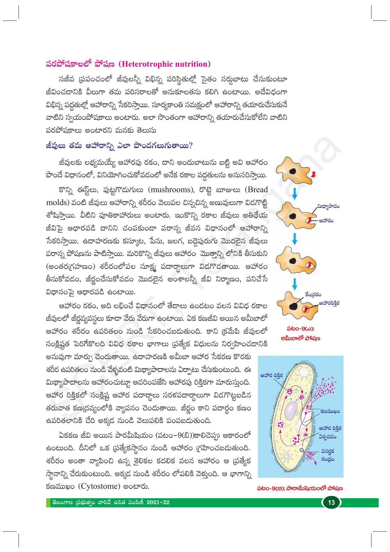 TS SCERT Class 10 Biological Science (Telugu Medium) Text Book - Page 25