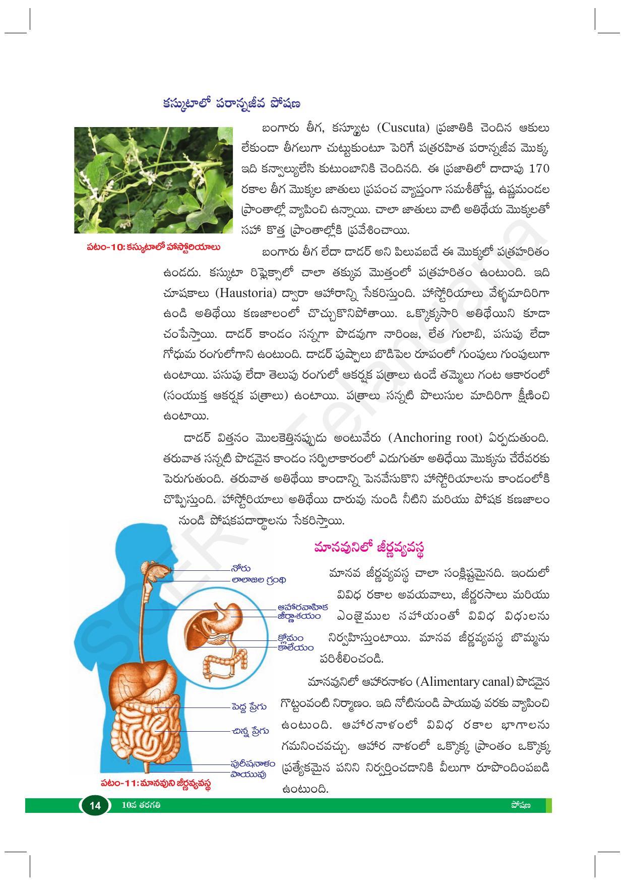 TS SCERT Class 10 Biological Science (Telugu Medium) Text Book - Page 26