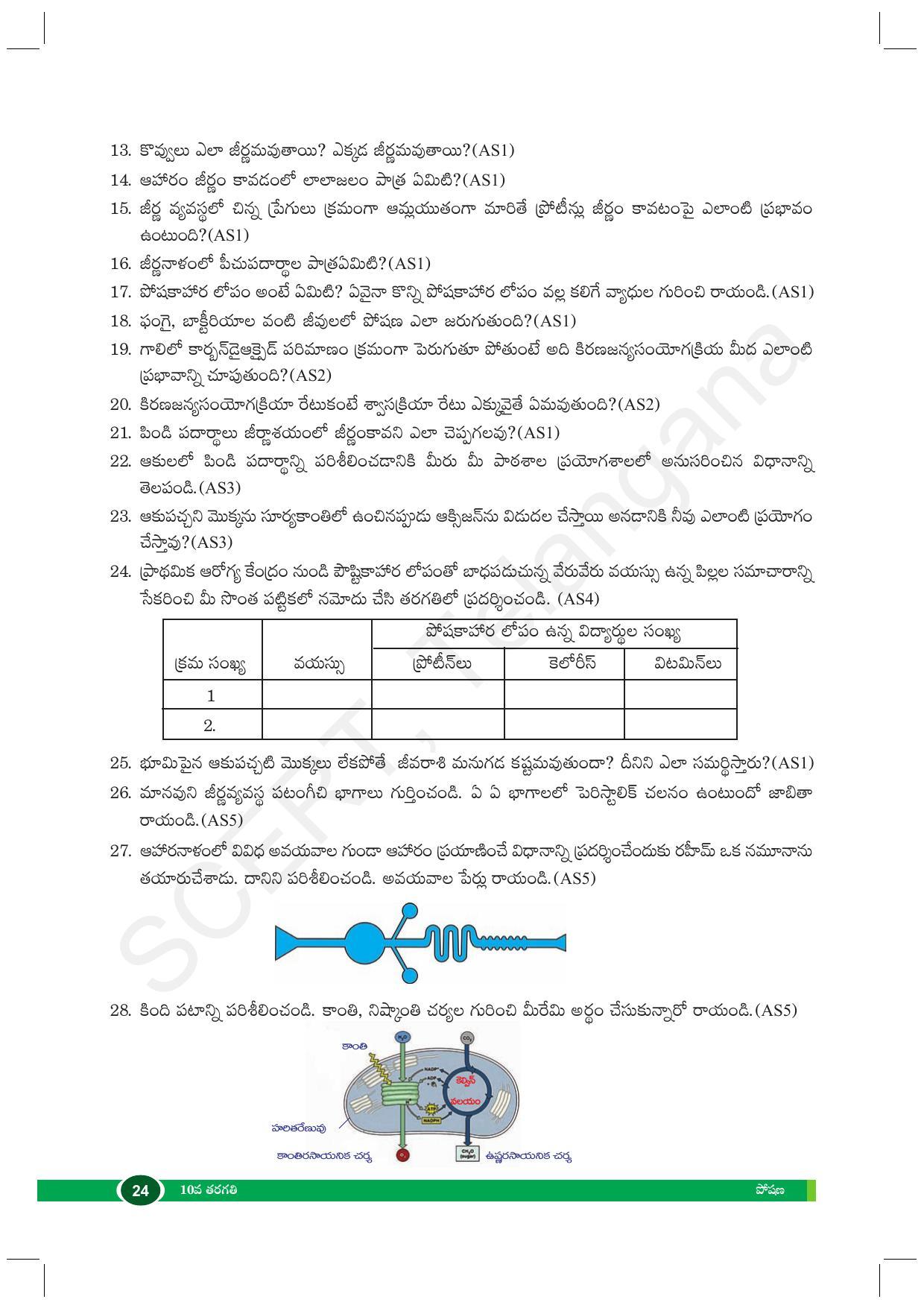 TS SCERT Class 10 Biological Science (Telugu Medium) Text Book - Page 36