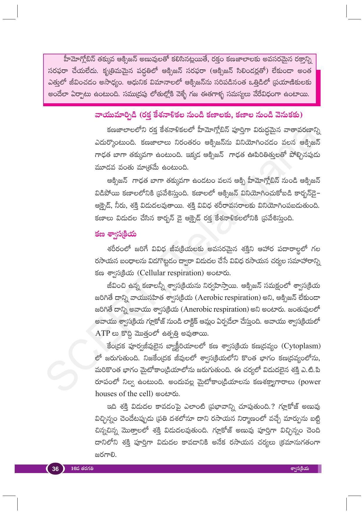 TS SCERT Class 10 Biological Science (Telugu Medium) Text Book - Page 48