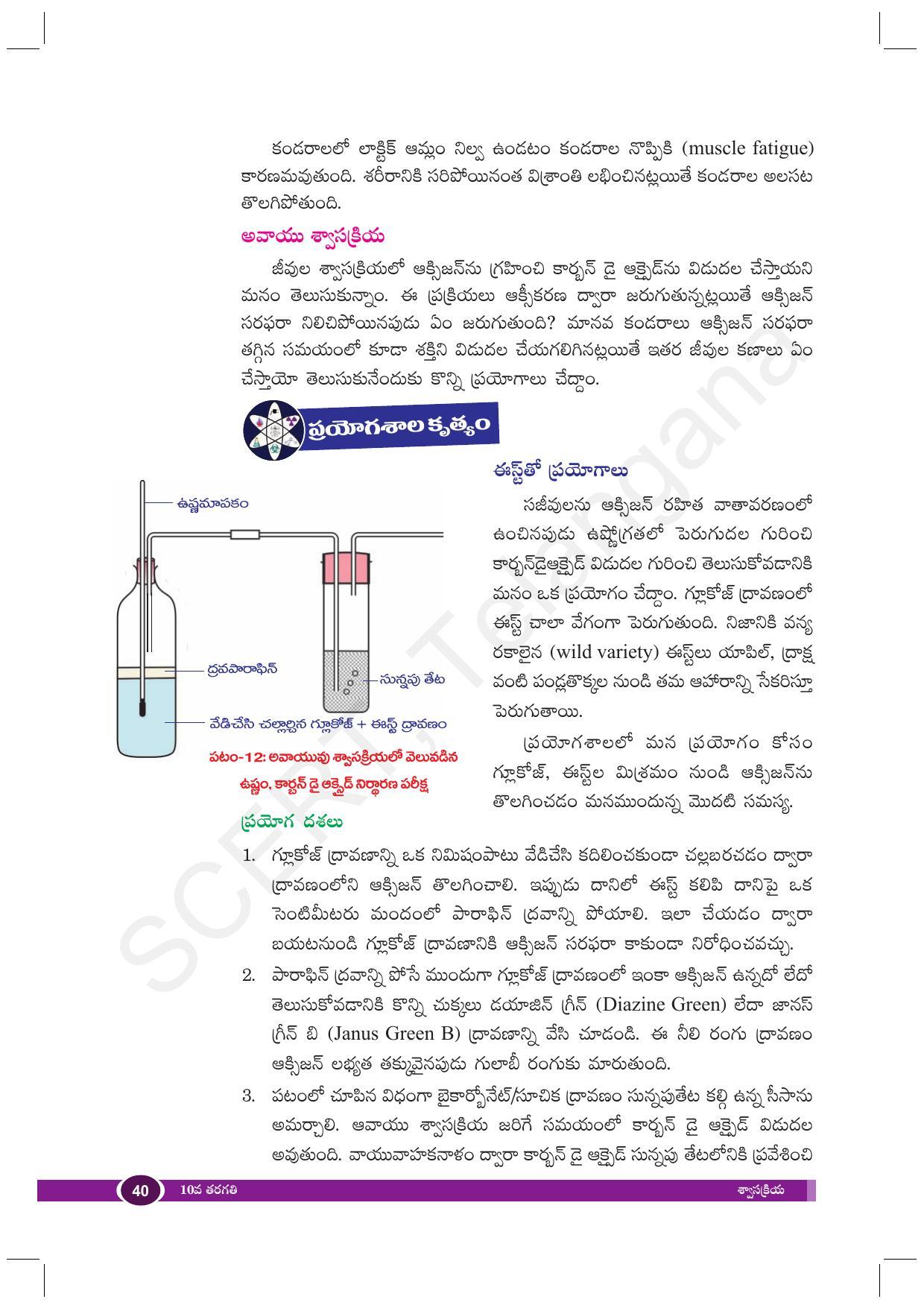 TS SCERT Class 10 Biological Science (Telugu Medium) Text Book - Page 52