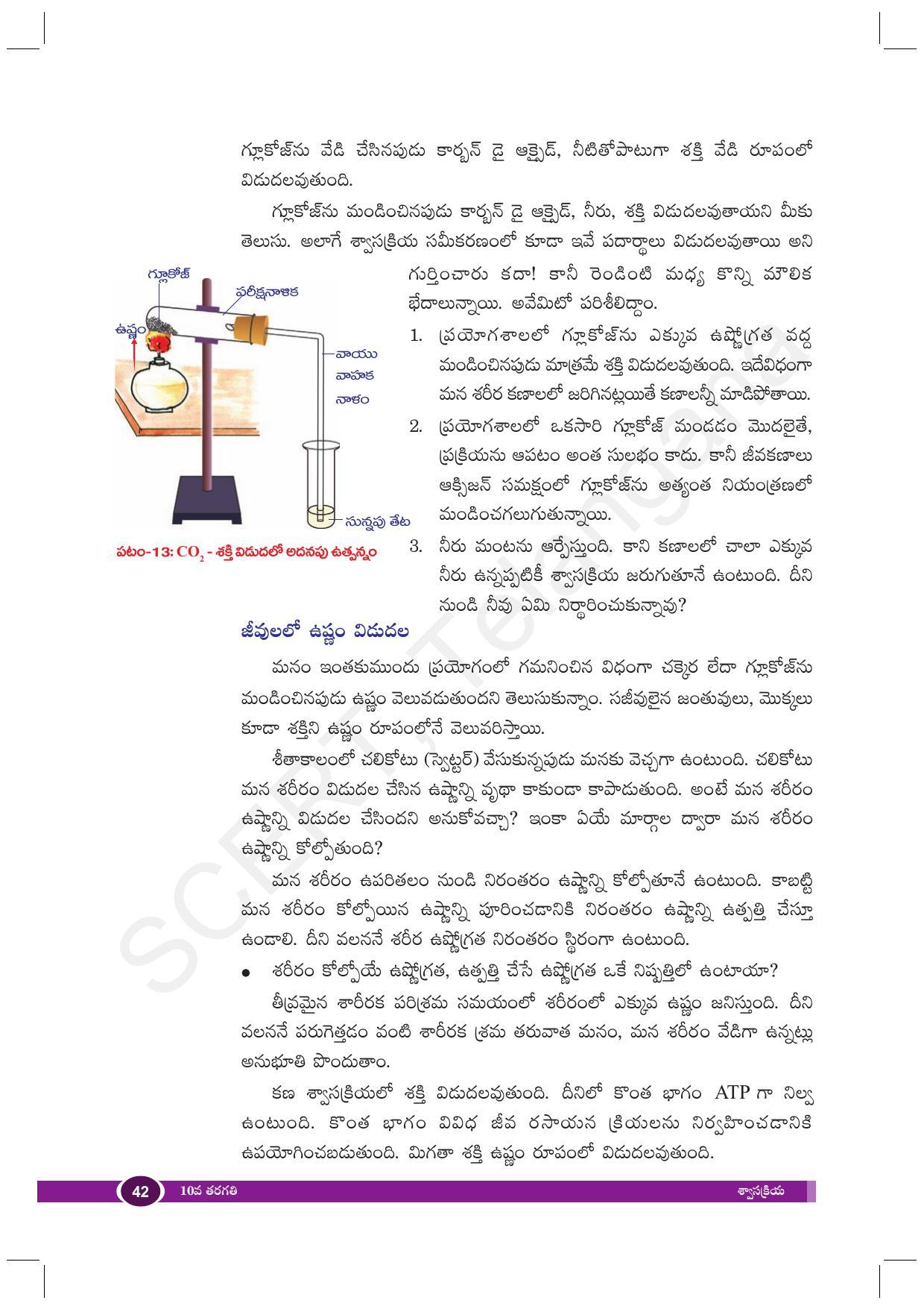 TS SCERT Class 10 Biological Science (Telugu Medium) Text Book - Page 54