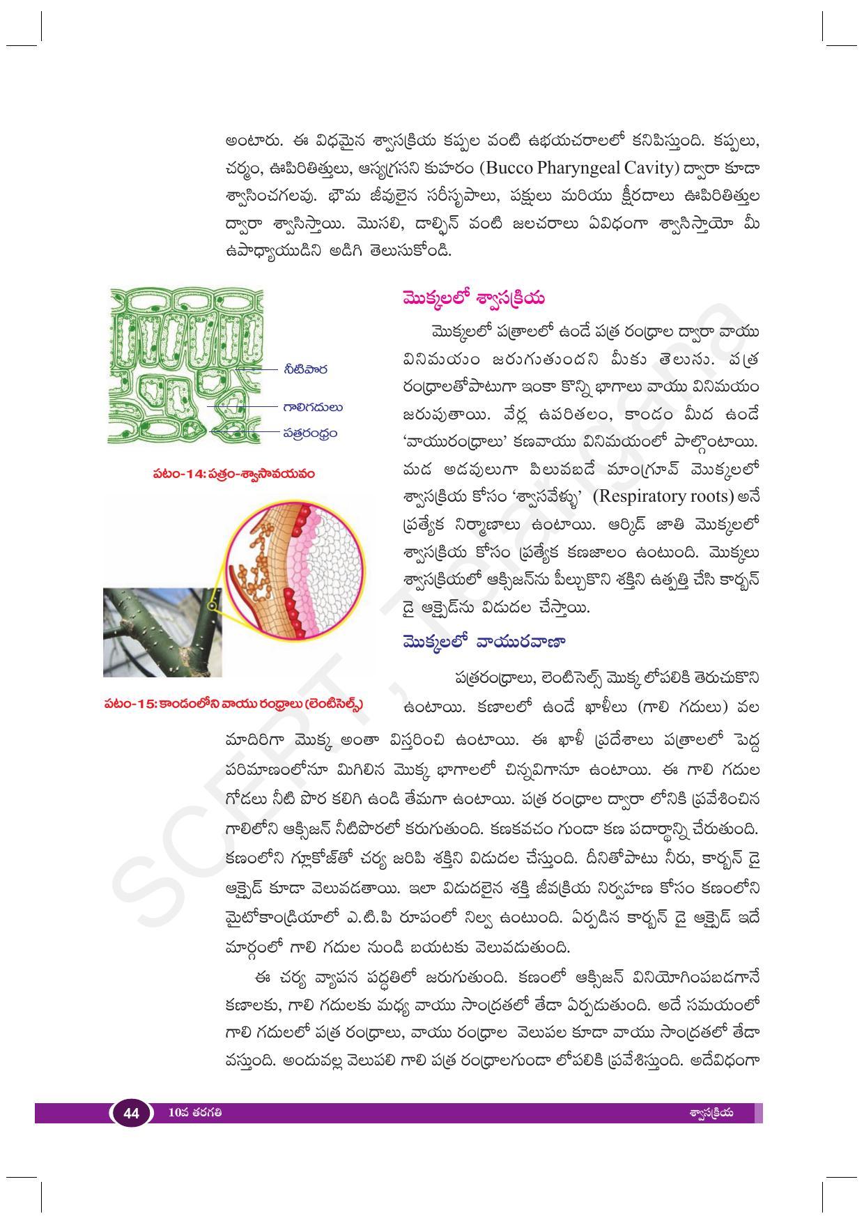 TS SCERT Class 10 Biological Science (Telugu Medium) Text Book - Page 56