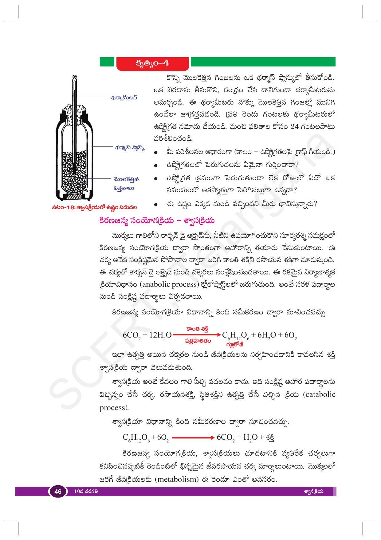 TS SCERT Class 10 Biological Science (Telugu Medium) Text Book - Page 58