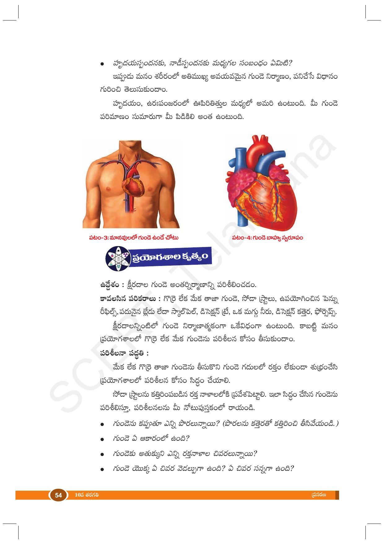 TS SCERT Class 10 Biological Science (Telugu Medium) Text Book - Page 66
