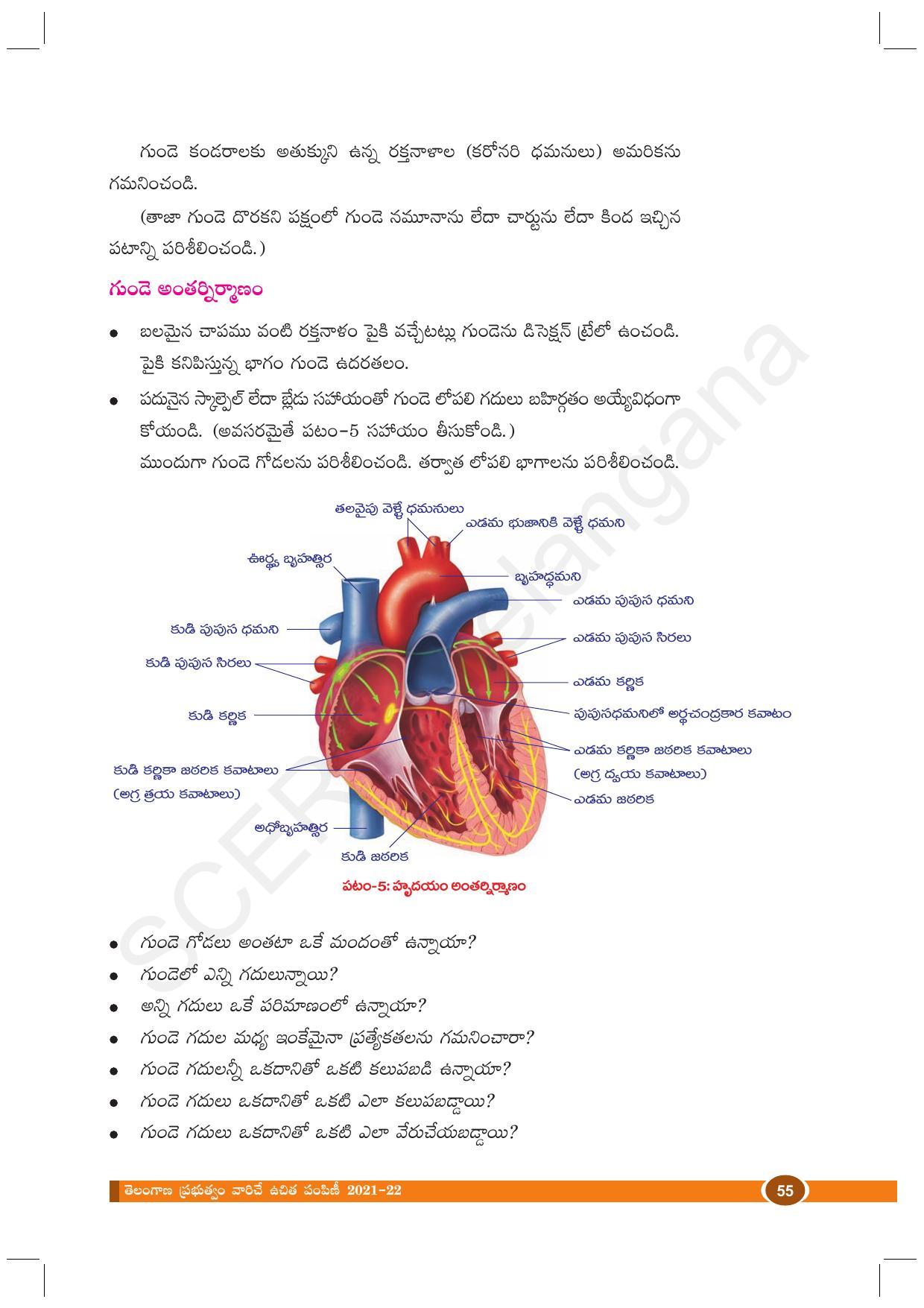 TS SCERT Class 10 Biological Science (Telugu Medium) Text Book - Page 67